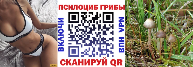 Галлюциногенные грибы ЛСД  Кемерово 